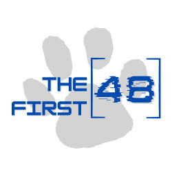 The First 48 graphic