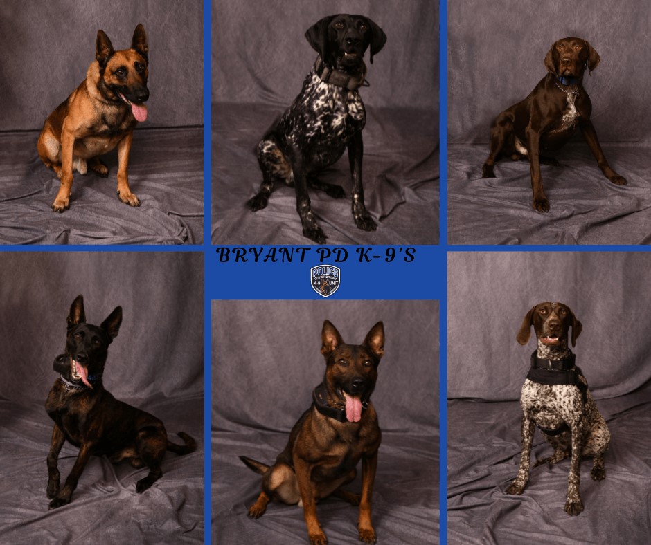 Bryant K9 Dogs